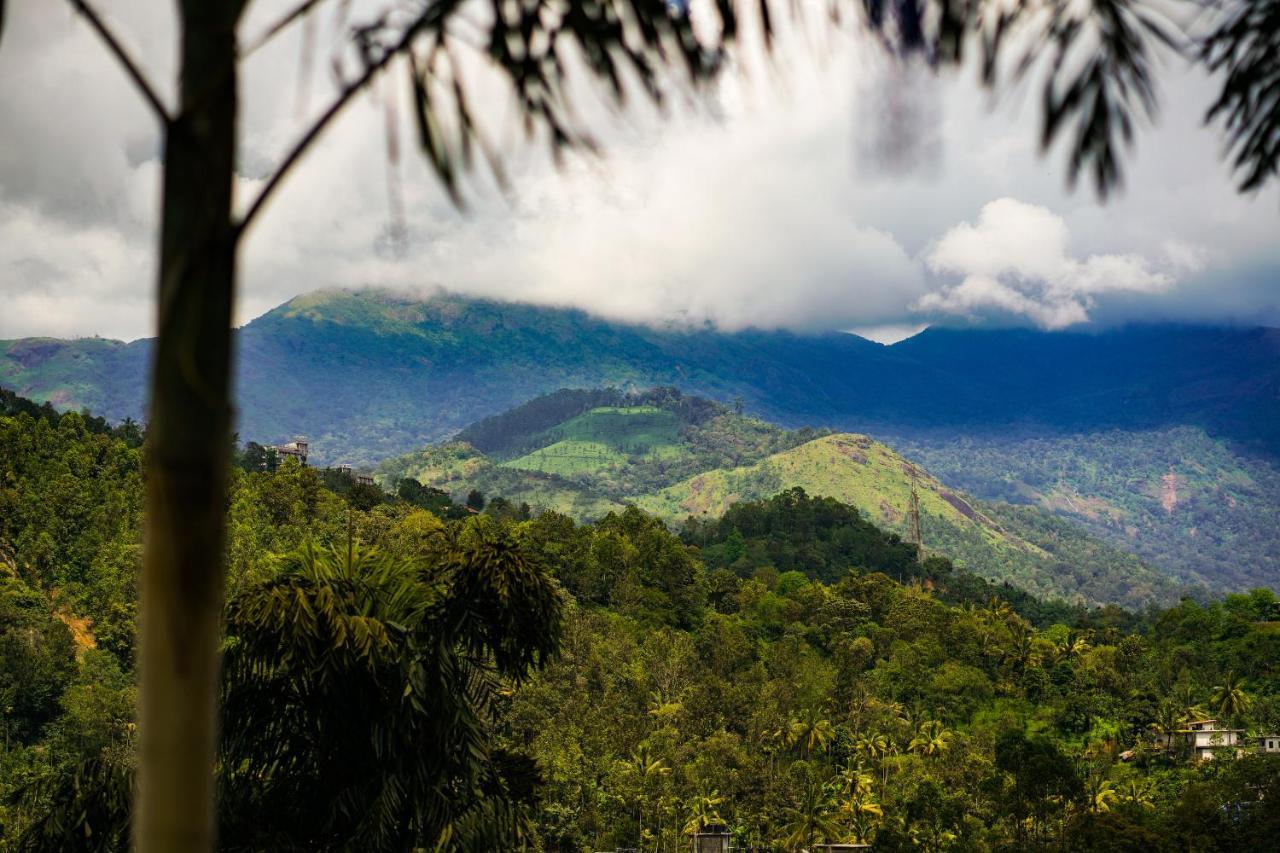 Munnar Blue Mist住宿加早餐旅馆 外观 照片